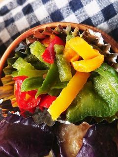 お弁当★塩パプリカきんぴら★作り置き-レシピのメイン写真