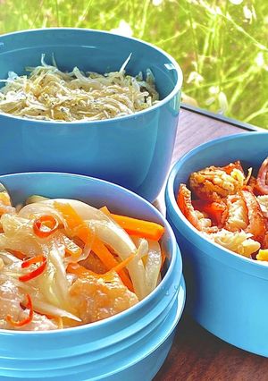 タロの弁当13 ぶた南蛮とジャコ飯^_^-レシピのメイン写真