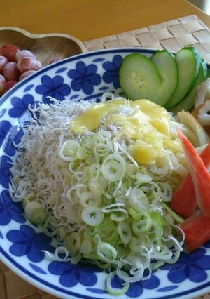 葱しらすチーズ胡瓜ぶっかけうどん-レシピのメイン写真