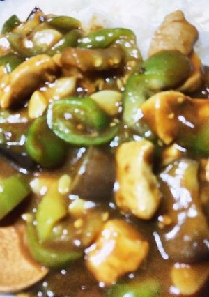 ヘチマとナスのカレー-レシピのメイン写真