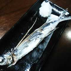 รูปของ 簡単☆トビウオの塩焼き　