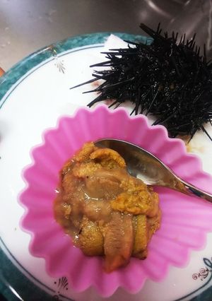 新鮮 ウニ【雲丹】刺身♪( ´∀`)♪-レシピのメイン写真