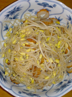 豆もやしの簡単炒め-レシピのメイン写真