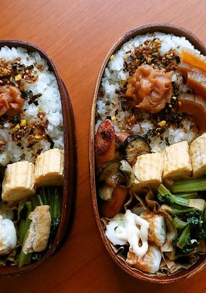 お弁当2020年8月24日-レシピのメイン写真