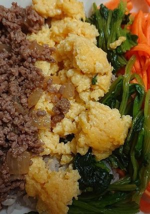 ビビンバ丼-レシピのメイン写真