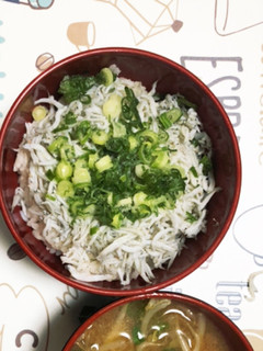 絶品しらす丼-レシピのメイン写真