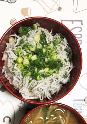 絶品しらす丼-レシピのメイン写真