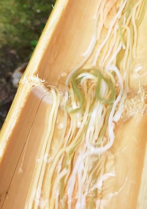 本格的そうめん流し！作り方！竹の割り方-レシピのメイン写真