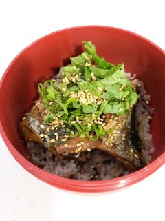 簡単♪缶詰deさんまの蒲焼丼-レシピのメイン写真