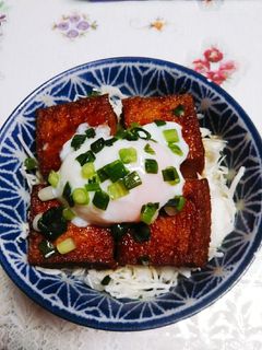私の厚揚げ丼-レシピのメイン写真