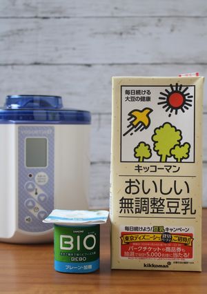 BIOプレーン・加糖で豆乳ヨーグルト-レシピのメイン写真