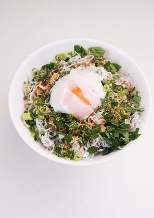 食堂のしらす丼-レシピのメイン写真