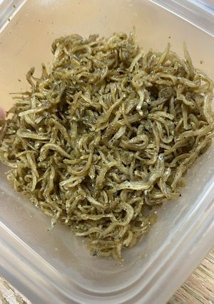 粉山椒で作るちりめん山椒煮-レシピのメイン写真