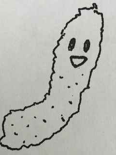 きゅうりのつくだ煮-レシピのメイン写真