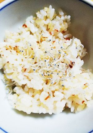梅干しとちりめんじゃこのご飯-レシピのメイン写真