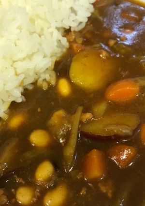 根菜カレー-レシピのメイン写真