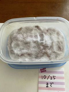 アンチョビ(塩漬けまで)-レシピのメイン写真