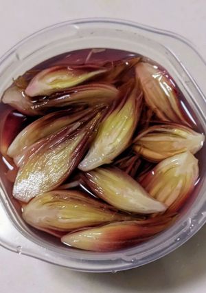みょうがのたっぷり酢漬け-レシピのメイン写真