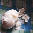失敗したゆで玉子のむき方