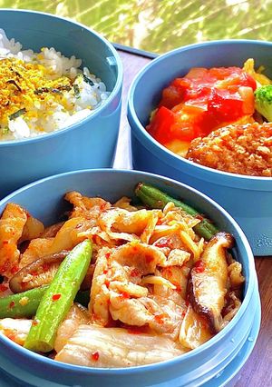 タロの弁当15 残り物キムチの豚炒め!-レシピのメイン写真