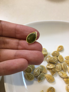 かぼちゃの種を煎る-レシピのメイン写真