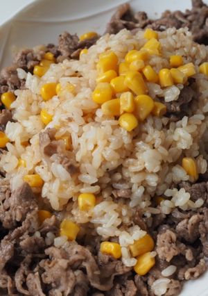 子供喜ぶビーフライス-レシピのメイン写真