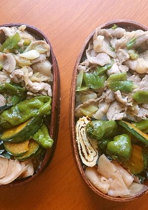 お弁当2020年8月27日-レシピのメイン写真
