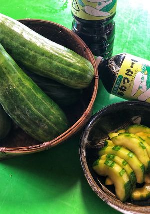 はぐらうりの漬物-レシピのメイン写真