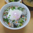 温玉鮭しらす丼