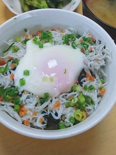 温玉鮭しらす丼-レシピのメイン写真