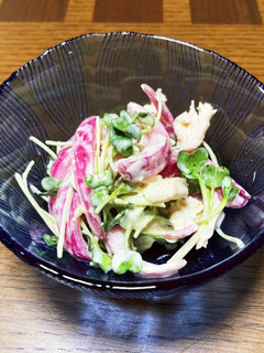 ササミとレッドオニオンのカイワレマヨサラ-レシピのメイン写真