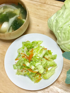 キャベツの梅和え-レシピのメイン写真