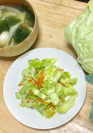 キャベツの梅和え-レシピのメイン写真