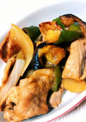 余った野菜で！ナスとピーマンの肉野菜炒め-レシピのメイン写真