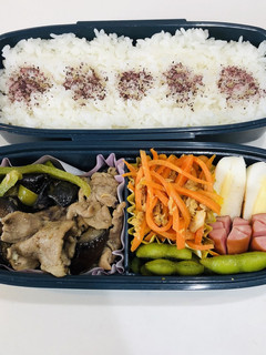 今日のお弁当 20/8/28-レシピのメイン写真