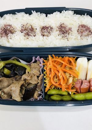 今日のお弁当　20/8/28-レシピのメイン写真