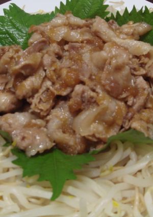 豚バラ肉のしょうが焼き★-レシピのメイン写真