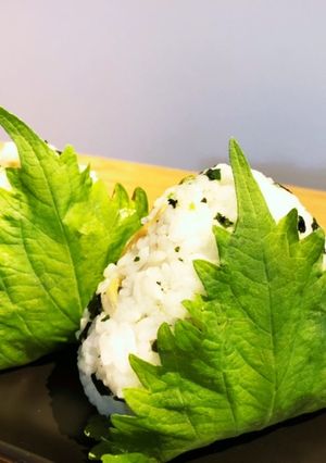 今日はおにぎり弁当6(しらすワカメ)-レシピのメイン写真
