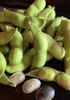 赤堀農場♪シンプルに黒大豆枝豆茹でました-レシピのメイン写真