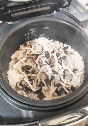 ひらたけご飯-レシピのメイン写真