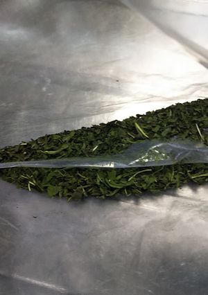 青しそふりかけ-レシピのメイン写真