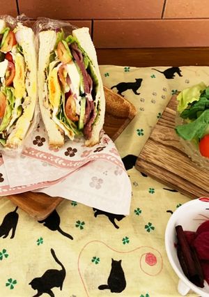 ローストビーフ、クリチのワンパクサンド-レシピのメイン写真