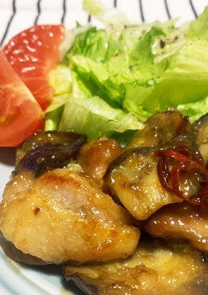なすと鶏もも肉のさっぱり煮-レシピのメイン写真