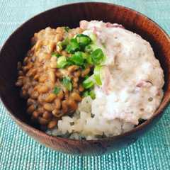 とろろ茗荷の納豆ご飯-レシピのメイン写真