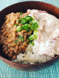とろろ茗荷の納豆ご飯-レシピのメイン写真