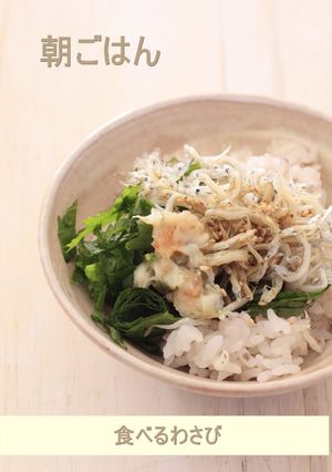 ちりめんじゃこの朝ごはん-レシピのメイン写真
