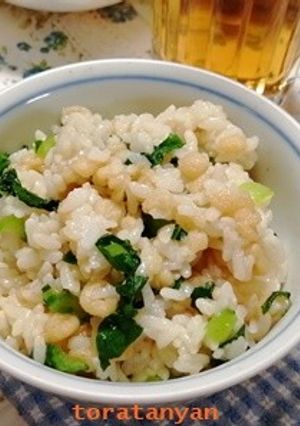 「恋イン」深津秀一の小松菜天かすご飯-レシピのメイン写真