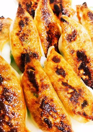 お豆腐餃子-レシピのメイン写真