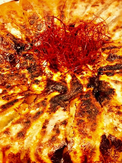味付き焼餃子-レシピのメイン写真