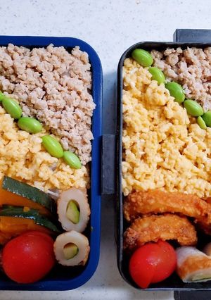 ☆高校生娘と中学生息子のお弁当☆299-レシピのメイン写真